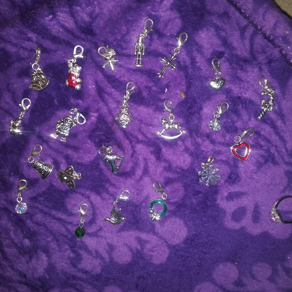 Charm bracelet charms